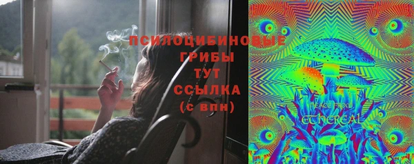амфетамин Белокуриха