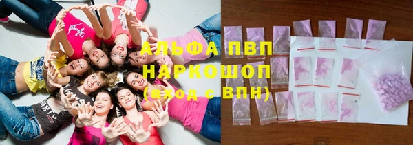 гашик Ростов