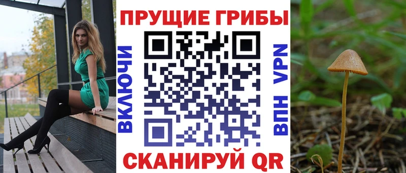 Галлюциногенные грибы прущие грибы  Воркута 